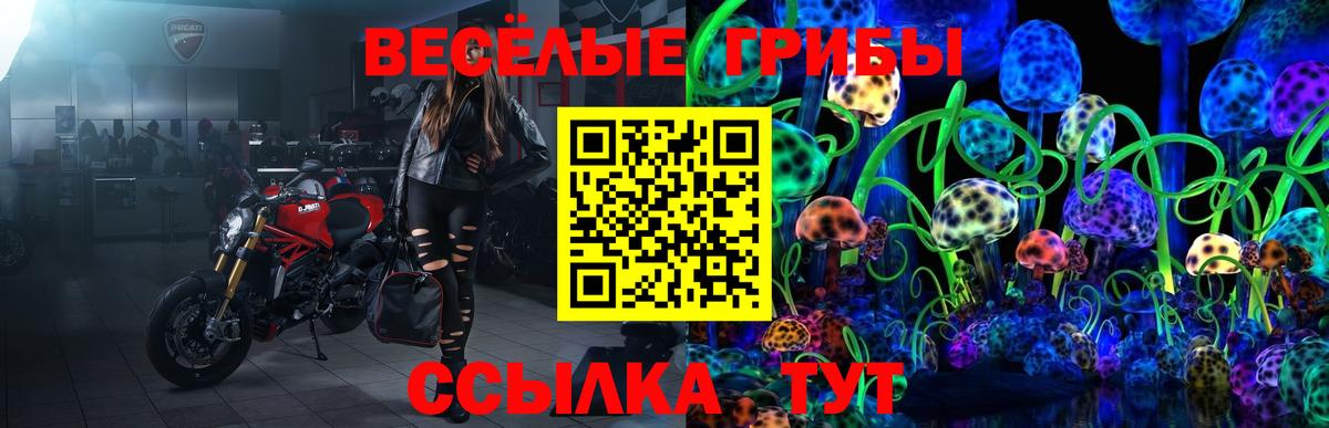 Россошь  Псилоцибиновые грибы ЛСД  Вход с VPN 